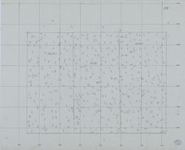 Angkor - nivellement, minute 7 (Plan).