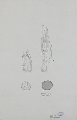 inconnu - Poteau bois (Élévation, Plan).